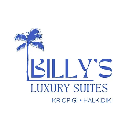 Billy's Luxury In Hotel *